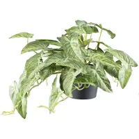 Creativ Green Kunstpflanze "Alocasia" mit naturgetreuem Blattwerk