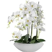 Creativ Green künstliche Pflanze Phalenopsis in Keramikschale, 63 cm, weiß