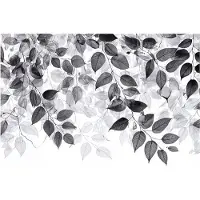 WALLARENA FOTOTAPETE Blätter Schwarz Weiß Wohnzimmer 150x105