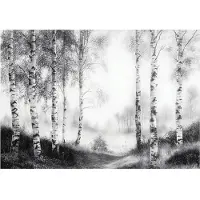 WALLARENA Fototapete Wald in Schwarzweiß | Gr.: 200 x 140 cm