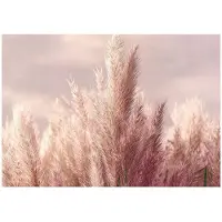 WALLARENA FOTOTAPETE Gras Boho Natur 400x280