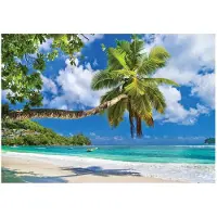 WALLARENA FOTOTAPETE Strand Meer 300x210
