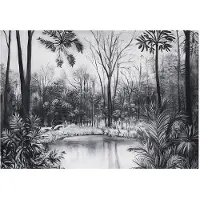WALLARENA FOTOTAPETE Wald Schwarz Weiß Vlies Tapete Wohnzimmer 300x210