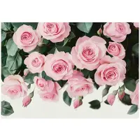 WALLARENA FOTOTAPETE Blumen Rosen Schlafzimmer 300x210
