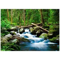WALLARENA FOTOTAPETE Wasserfall 3D Natur 300x210