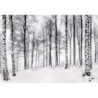 WALLARENA FOTOTAPETE 3D Effekt Birken Wald Bäume Tapete Wohnzimmer 200x140