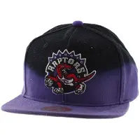 Mitchell & ness Toronto Raptors Mens Cap