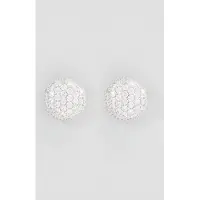 U.s. polo assn. US Polo Assn Jewellery – Courtney – Rhodium-Ohrringe