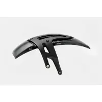 Puig Hinterrad-Abdeckung R 1250 R/RS, Bj. 18-, carbonlook Carbon