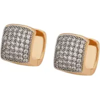NAEMI Women Earrings in Gold | Gr.: onesize