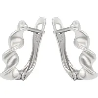 NAEMI Women Earrings in Silver | Gr.: onesize
