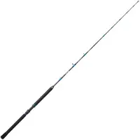 Sunset Kaijin Sw Acid Trollingrute Silber 1.98 m / 8 Lbs Silber 1.98 m