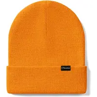 Berghaus Inflection Beanie Org/Org, ONESZ (ONESZ) -