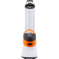 Sogo BAT-SS-5515-G Standmixer, Kunststoffgehäuse, 350 Watt, 0,6 l Behälter, Becher mit Trinkdeckel