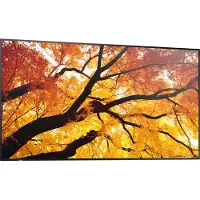 Sharp Large Format Display M982