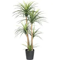 Creativ Green Kunstpflanze "Dracaena" auf 5 Stämmen