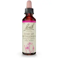 Nelsons GmbH Bachblüten Original 29 Star of Bethlehem 10 ml