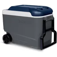 OEM Mobile Kühlbox 38L Grau/Blau mit Rädern und Teleskophandgriff, wetterbeständig