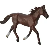 Collecta - Semental Standardbred - Castaño -XL- 88644 (90188644) COLECTA