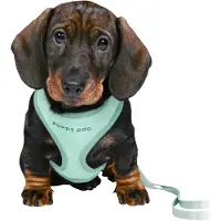 Trixie Junior Welpen-Softgeschirr mit Leine - mint - 26–34 cm/10 mm