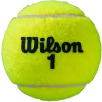 Wilson Roland Garros All Court Bipack Tennisbälle