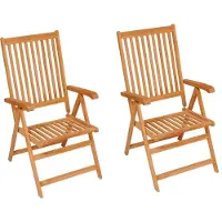 vidaXL Gartenstühle 2 Stk. mit Grauen Kissen Massivholz Teak