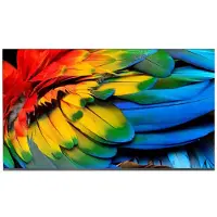 Philips 58HFL6214U/12, 147,3 cm (58"), 3840 x 2160 Pixel, 4K Ultra HD, LED, WLAN, Anthrazit