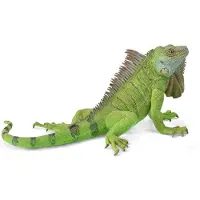 Collecta Iguana Xl-figur Grün Kinder Grün One Size