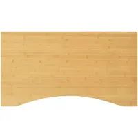 vidaXL Schreibtischplatte 100x60x4 cm Bambus