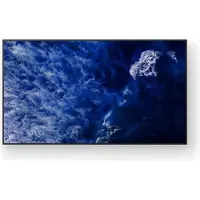 Sony 98" Pro BRAVIA LCD 780nit Haze w/5yr PS