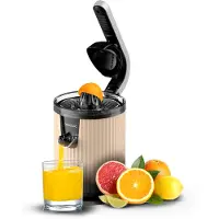 Cecotec Xqueeze Retrojuice 600 Entsafter
