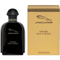 Jaguar Classic Gold Eau de Toilette für Herren, 100ml