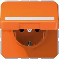 JUNG Steckdose 1f or glz CD UP Klappd IP20 CD1520BFNAKLO