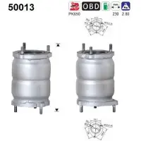 As Katalysator 50013