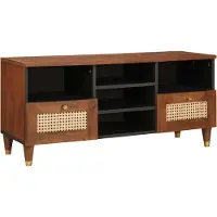 vidaXL TV-Schränk mit Regal Braun 100 x 33,5 x 46 cm Massivholz Mango