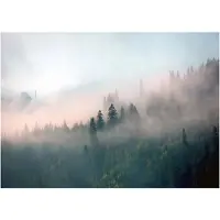WALLARENA FOTOTAPETE Wald im Nebel Vliestapete Tapete 300x210