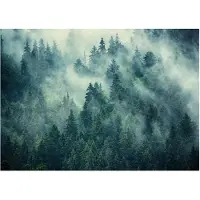 WALLARENA FOTOTAPETE Wald im Nebel Vliestapete 400x280