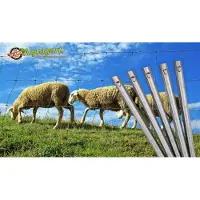 Aquagart 50 W-Profil Zaunanker Erdanker für Wildzaun Forstzaun Weidezaun 70cm