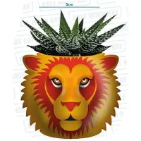 Half Moon Bay Harry Potter: Gryffindor Plant Pot