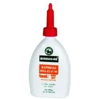 AWN Bindan Leim-Express -RS 100g BRS10/L (F)