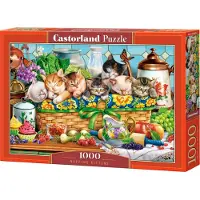 Castorland Puzzle Katzen - 1000 Teile - buntes Spielzeug