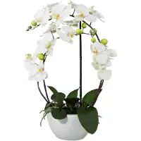 Creativ Green Kunstpflanze "Phalaenopsis"