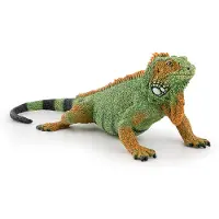 Papo Leguan