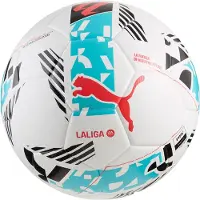 Puma Orbita Laliga 1 Fifa Quality Wp Fußball
