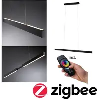Paulmann Aptare LED-Hängelampe schwarz, 2700K, smart, dim. - , Aptare, dimmbar, Schwarz, für Wohnzimmer, Metall, Modern
