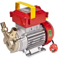 Rover Pompe Rover BE-M 25 - Elektrische Umfüllpumpe aus Bronze - 230 V