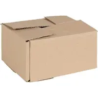 vidaXL Faltbox mit Speicher 50 pcs Natur 20 x 15 x 10 cm Karton
