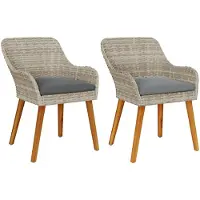 vidaXL Gartenstuhl 2 pcs Hellgrau 62,5 x 55 x 82 cm Poly-Rattan