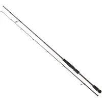 Daiwa Infeet Seabass Spinnrute