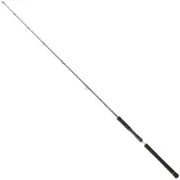 Daiwa Legalis Light Jiggingrute Silber 1.91 m / 120 g Silber 1.91 m